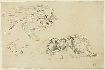 欧仁·德拉克罗瓦的《狮子研究》