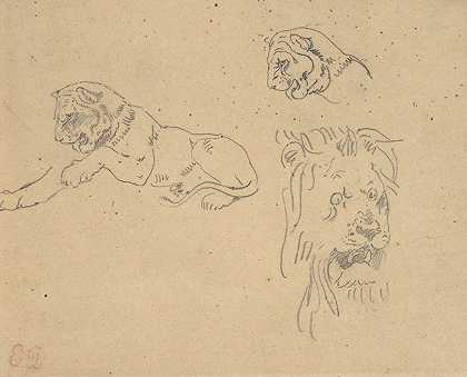欧仁·德拉克罗瓦的《狮子的三项研究》