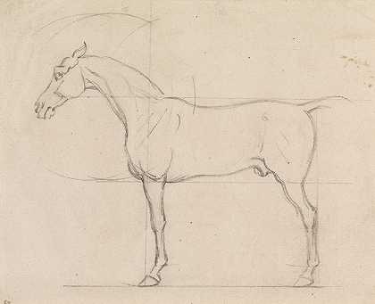 詹姆斯·西摩（James Seymour）的《面向左侧的马的轮廓》