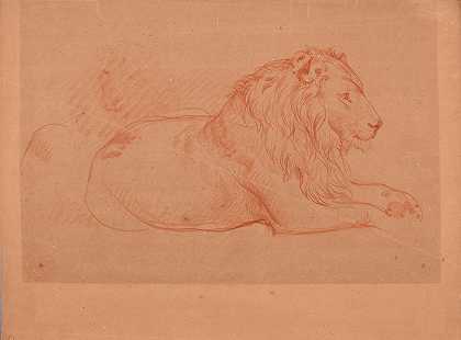 雅克·雷蒙德·布拉卡萨特的狮子研究