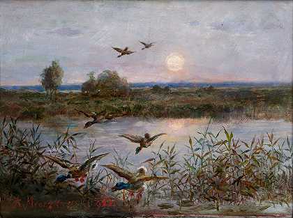 Aleksander Mroczkowski的《沼泽上的鸭子》