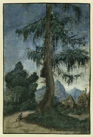阿尔布雷希特·阿尔多夫的《云杉风景》
