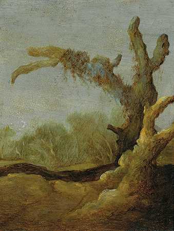 雅各布·范·吉尔的《风景中的树干》
