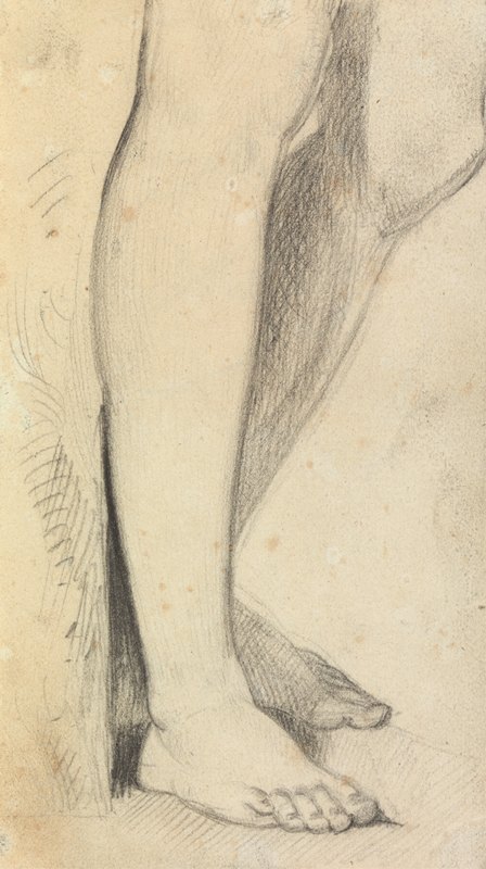 本杰明·罗伯特·海登的《腿的图形研究》
