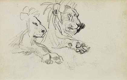Théodore Géricault的两头狮子研究