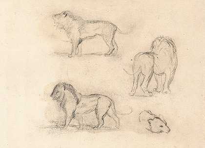 安托万·路易斯·巴里对三只狮子和一头熊的研究