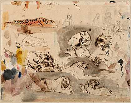 “16世纪服装中的老虎和男人草图”