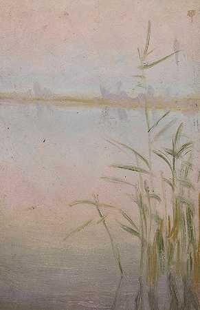 瓦迪斯瓦夫·奥斯特洛夫斯基的《湖边的芦苇》