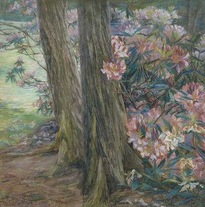 克拉拉·沃特曼的《花园里的杜鹃花丛》