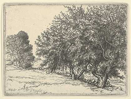 欧内斯特·哈斯克尔的《苹果树》