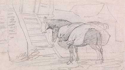 约翰·瓦利的《两匹马》