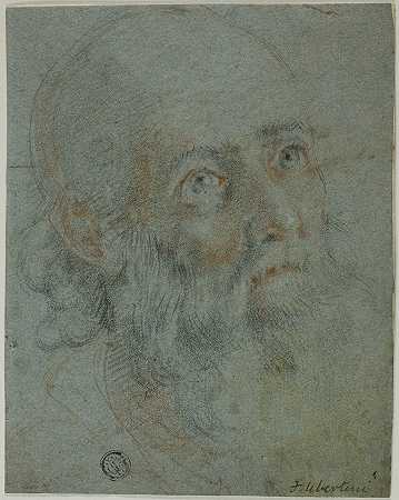 “一个留着胡子的人的头，仰视右侧研究亚历山大的圣凯瑟琳与异教徒牧师的争执”，作者：西戈利（卢多维科·卡迪）