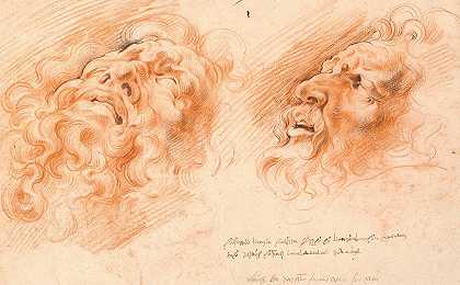 “拉奥孔。两项关于拉奥孔脸的研究，一项从下面看，另一项从侧面看，由威廉·潘尼尔斯（Willem Panneels）完成