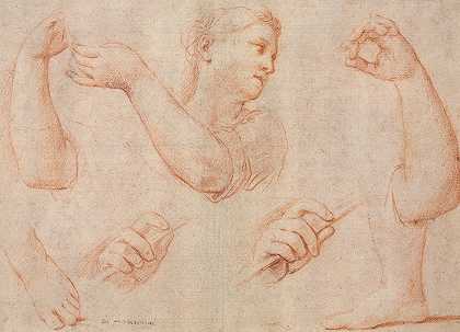 Marcantonio Franceschini的《年轻女子弹奏手鼓的研究》和《手臂、手和脚的研究》