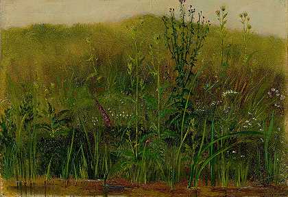 克里斯蒂安·弗里德里希·吉尔的《岸边的植物》