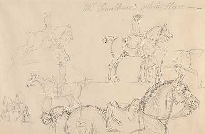 詹姆斯·西摩的《马与骑手的六项研究》