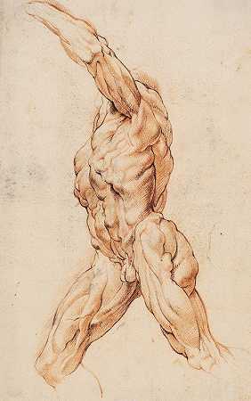 解剖研究（écorchés）。走路的剥皮男子被威廉·潘尼尔斯向左拐