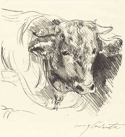 洛维斯·科林斯的《牛头》（Stierkopf）