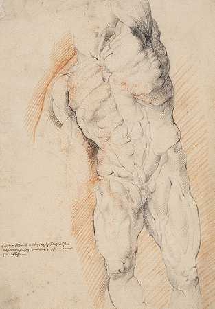 解剖研究（écorché）。威廉·潘尼尔斯抬起左臂，站着的剥皮男子的前视图