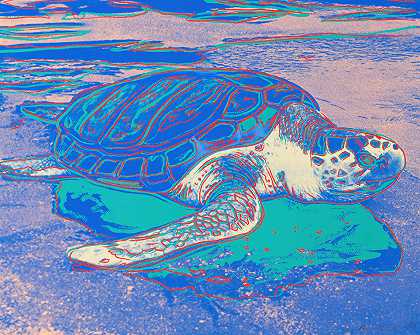 安迪·沃霍尔的《海龟》