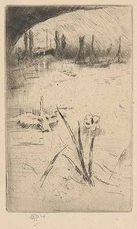 詹姆斯·阿博特·麦克尼尔·惠斯勒的《天鹅与鸢尾》