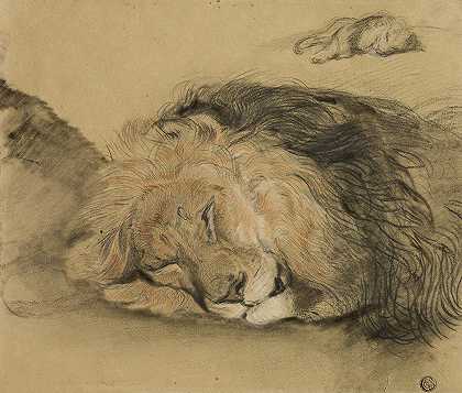 埃德梅·圣马塞尔的《狮子头与狮子素描》