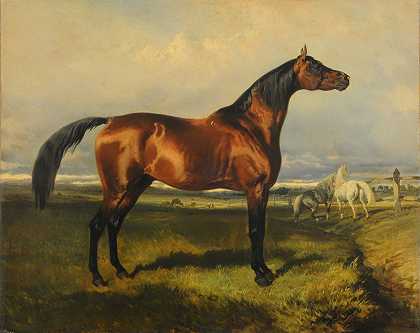 阿尔弗雷德·德·德鲁斯的《自由的马》