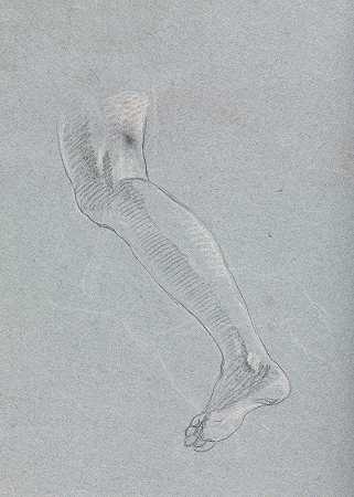 《维罗纳素描簿：左腿》（第28页）弗朗西斯科·洛伦齐著