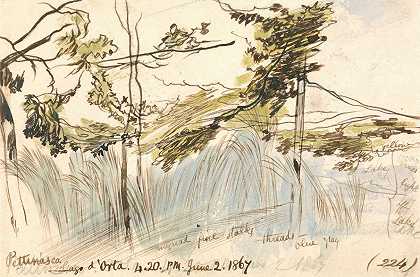 “爱德华·李尔1867年6月2日下午4点至20分，佩特纳斯科，d’Orta湖