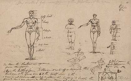 詹姆斯·沃德的《解剖学、测量和写作研究》