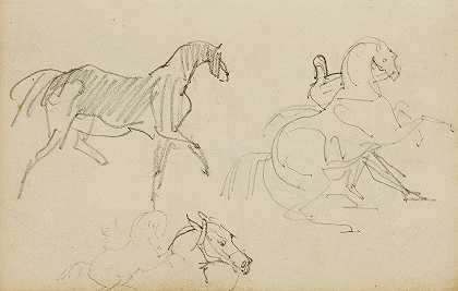 Théodore Géricault的三匹马研究