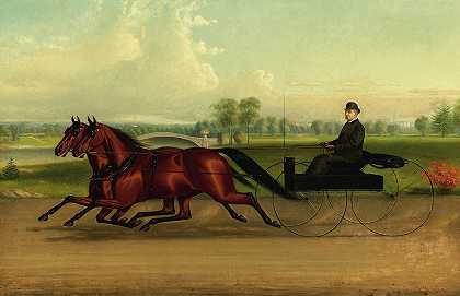 约翰·J·麦考利夫的《基普先生驾驶着一对小马》