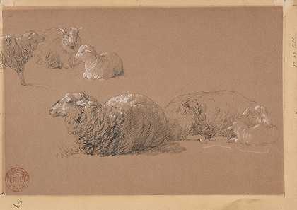 雅克·雷蒙德·布拉卡萨特的《卧羊研究》