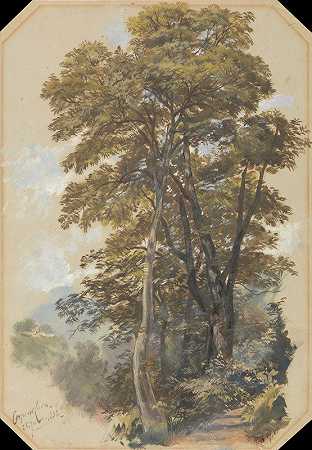 爱德华·李尔（Edward Lear）的《卡瓦河》（Corpo di Cava），1838年6月28日