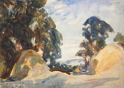 约翰·辛格·萨金特的《树木风景》
