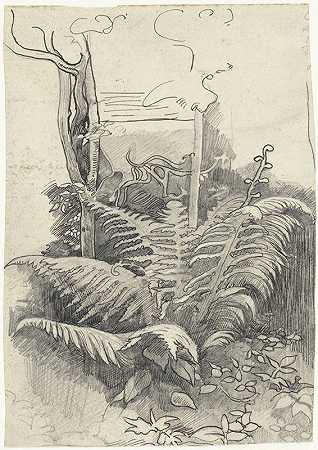 理查德·尼古拉·罗兰·霍斯特的《蕨类植物》
