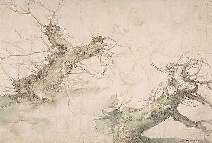 亚伯拉罕·布鲁默特的《两棵柳树的研究》