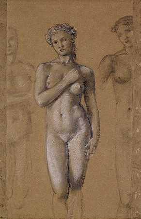 “女性裸体——爱德华·科利·伯恩·琼斯爵士的三项研究，可能是针对维纳斯的