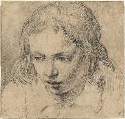 17世纪荷兰人的《年轻人的头像》