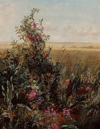 杰罗姆·汤普森的《野花》