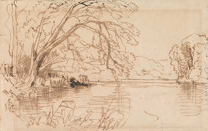 托马斯·克雷斯威克的《一棵树悬在河上》