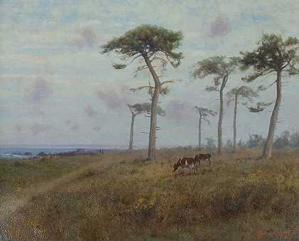 查尔斯·多曼·罗宾逊《在蒙特雷柏树间放牧的牛》