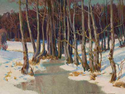《冬天的森林溪流》，作者：Teodor Ziomek