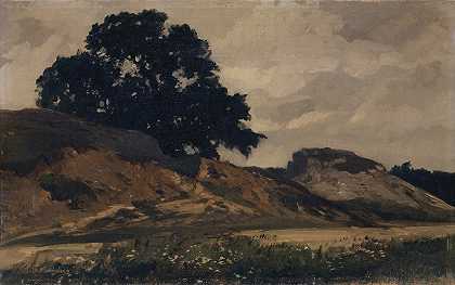 Otto Frölicher的《带大树的丘陵风景》