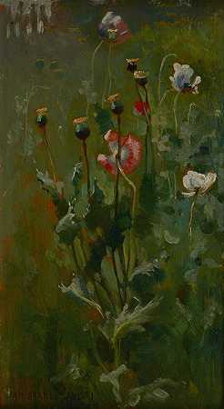 扬·斯坦尼斯拉夫斯基的《盛开的罂粟》