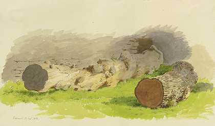 “1858年9月13日，卡尔·西奥多·雷芬斯坦在奥伯维尔的一堵墙前看到的原木”
