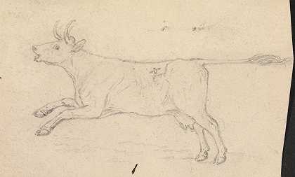 詹姆斯·索尔比的《一头牛》