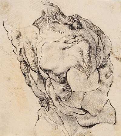 “解剖研究”（écorché）。Willem Panneels从后半场右转看到一名剥皮男子的躯干