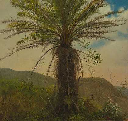弗雷德里克·埃德温·丘奇的《牙买加树蕨》