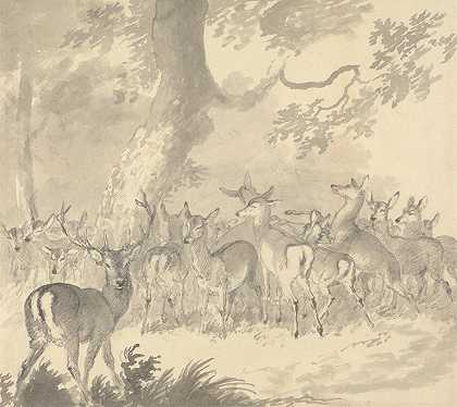 罗伯特·希尔斯（Robert Hills）的《一只鹿的研究：前景中的雄鹿与一群狗和小鹿在树下》